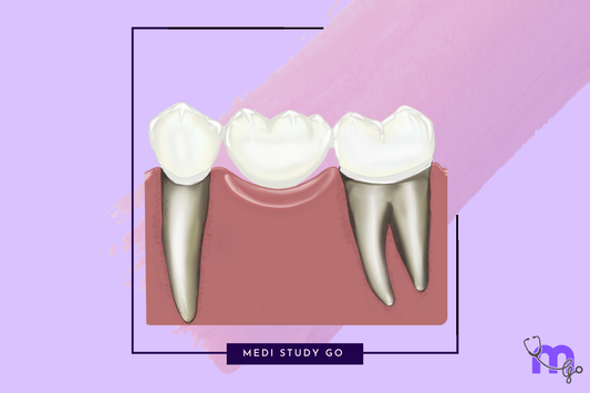 Fundamental Concepts of Pontics