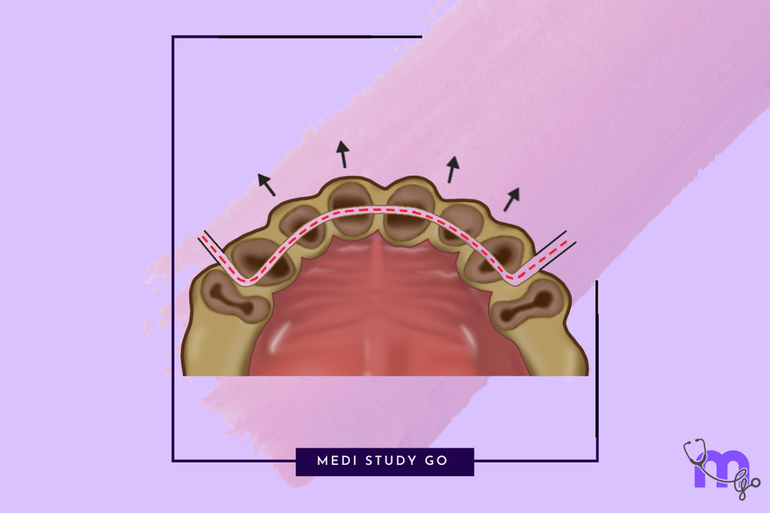 Preprosthetic Surgery