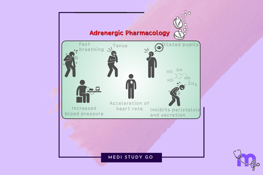 Adrenergic Drugs Pharmacology
