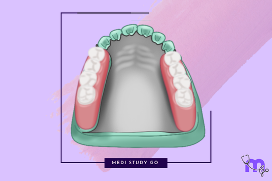 Major Connectors Classification Systems