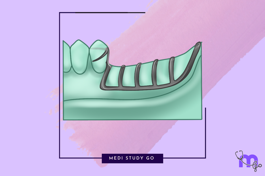 Connector Relationships