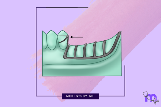 Functions of Minor Connectors