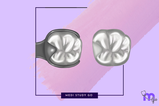 rest seat provides a stable foundation for the rest