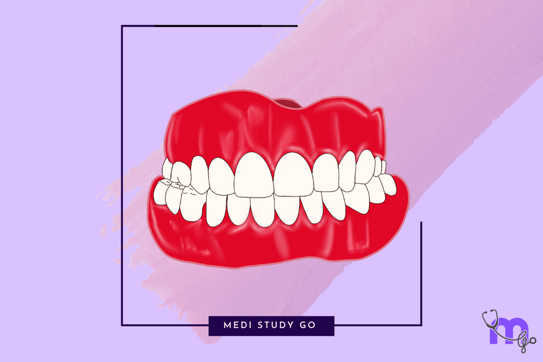 Dental waxes are essential thermoplastic materials