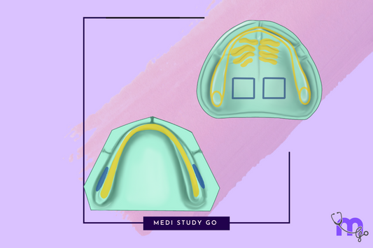 Stress-Bearing Areas