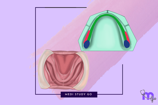 Mandibular Landmarks