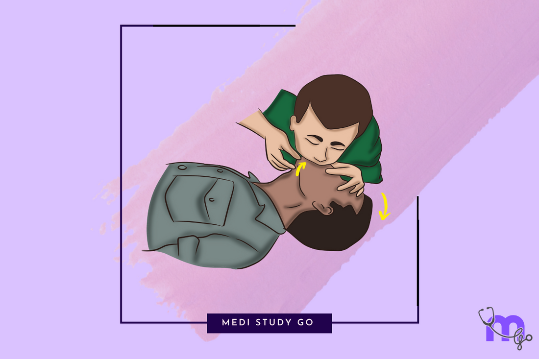 mouth to mouth rescuer breathing