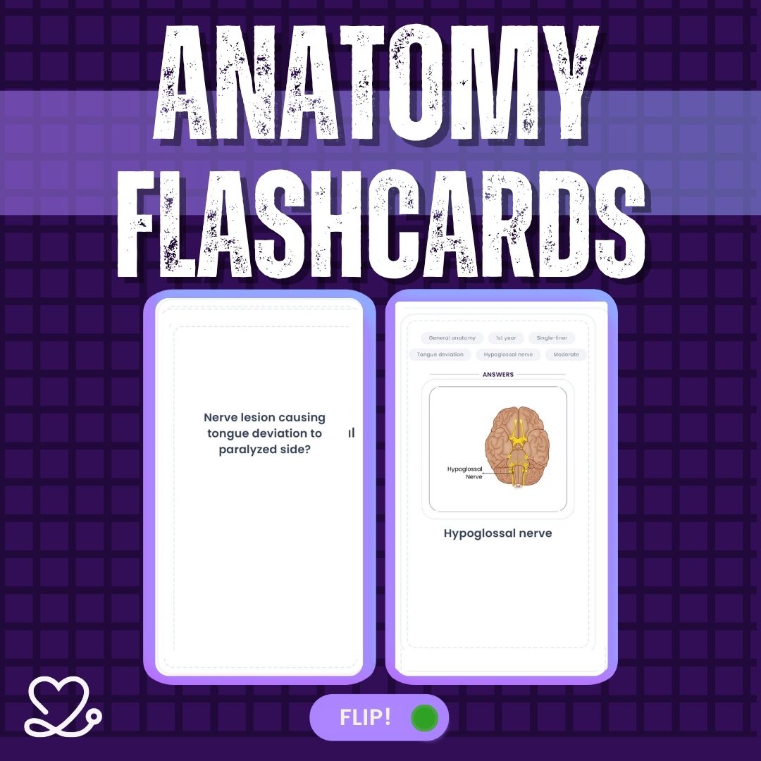 Anatomy Flashcards