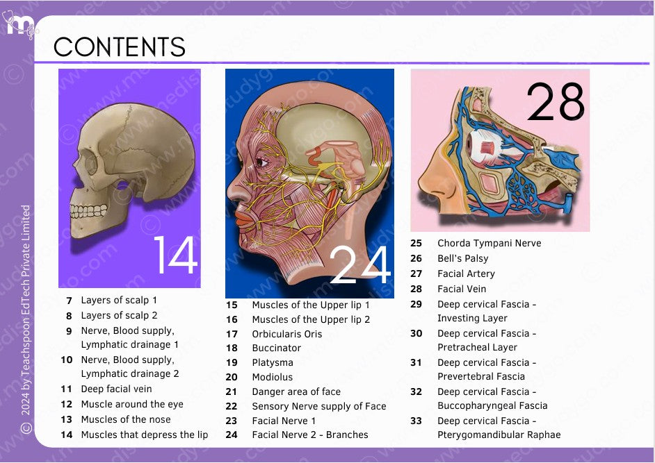 Anatomy bundle + General Anatomy + Osteology