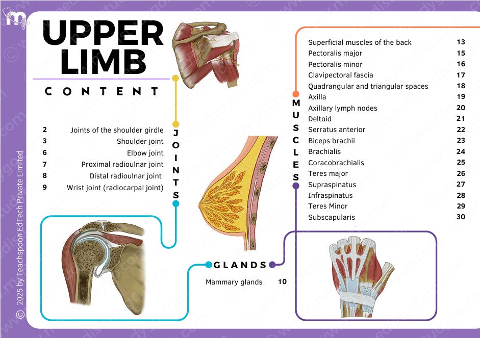 Anatomy bundle + General Anatomy + Osteology