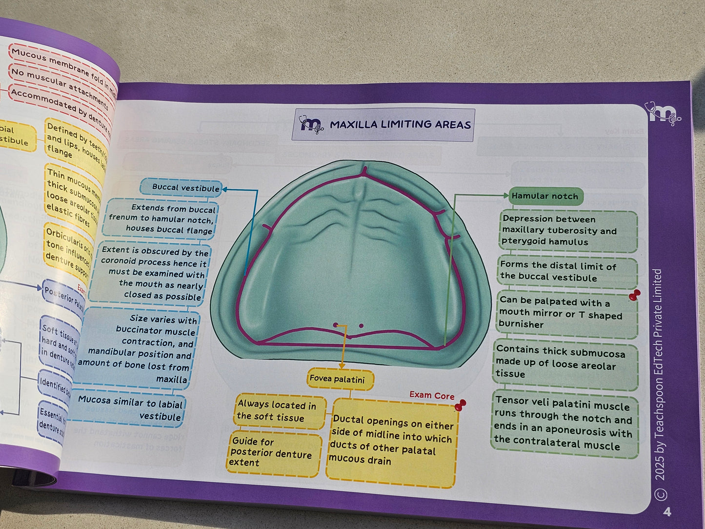 Prosthodontics