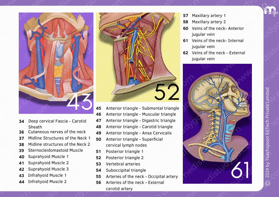 Anatomy bundle + General Anatomy + Osteology