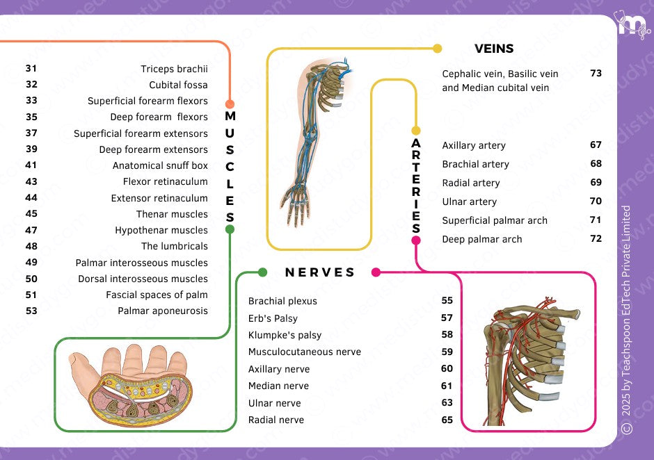 Anatomy bundle + General Anatomy + Osteology