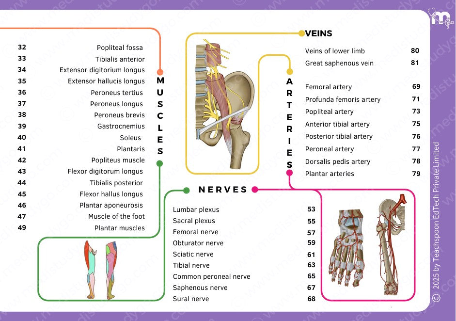 Anatomy bundle + General Anatomy + Osteology