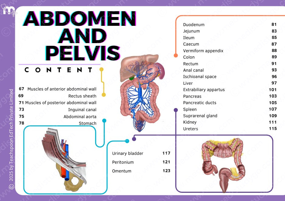 Anatomy bundle + General Anatomy + Osteology