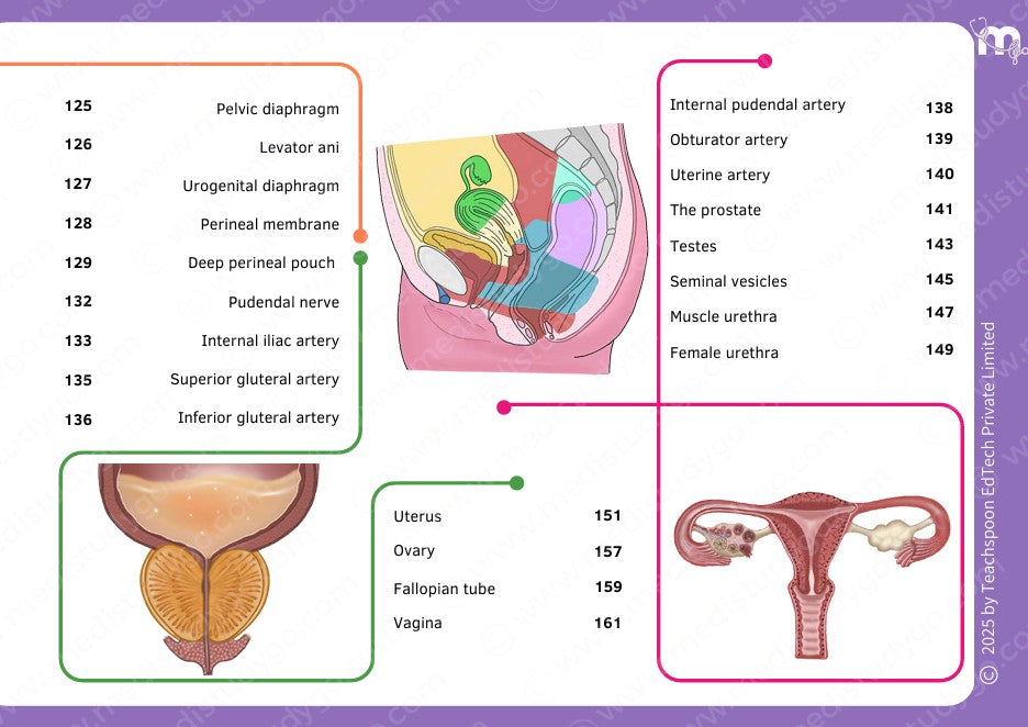 Anatomy bundle + General Anatomy + Osteology