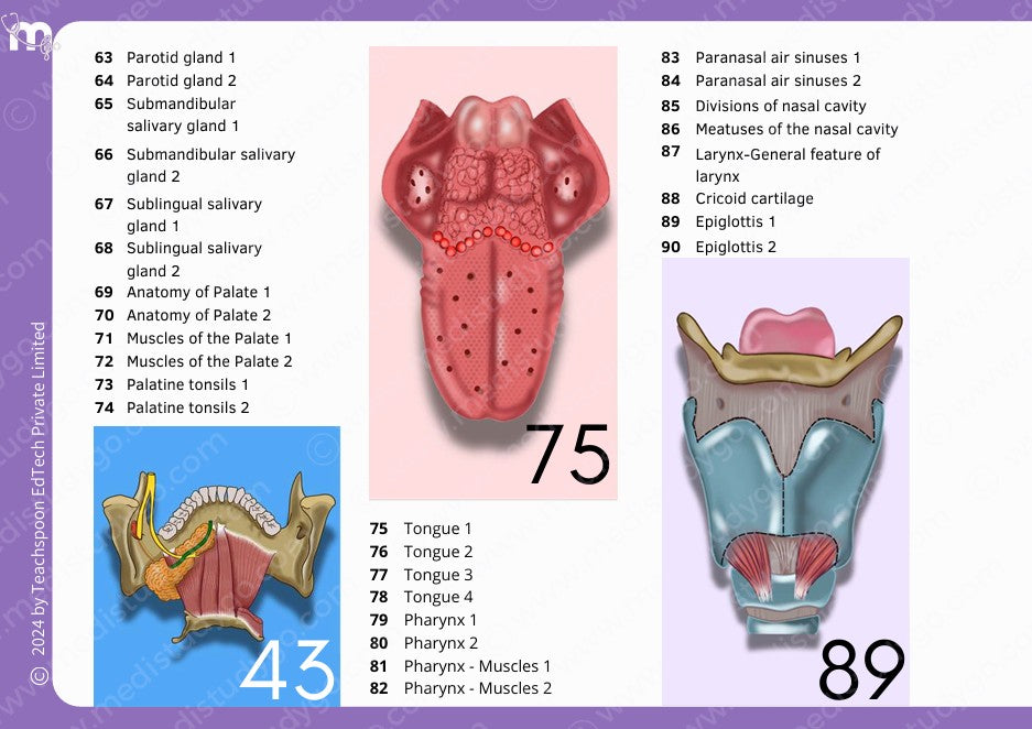 Anatomy bundle + General Anatomy + Osteology