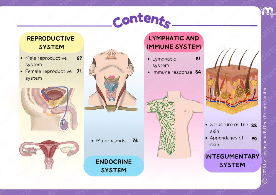 Anatomy bundle + General Anatomy + Osteology