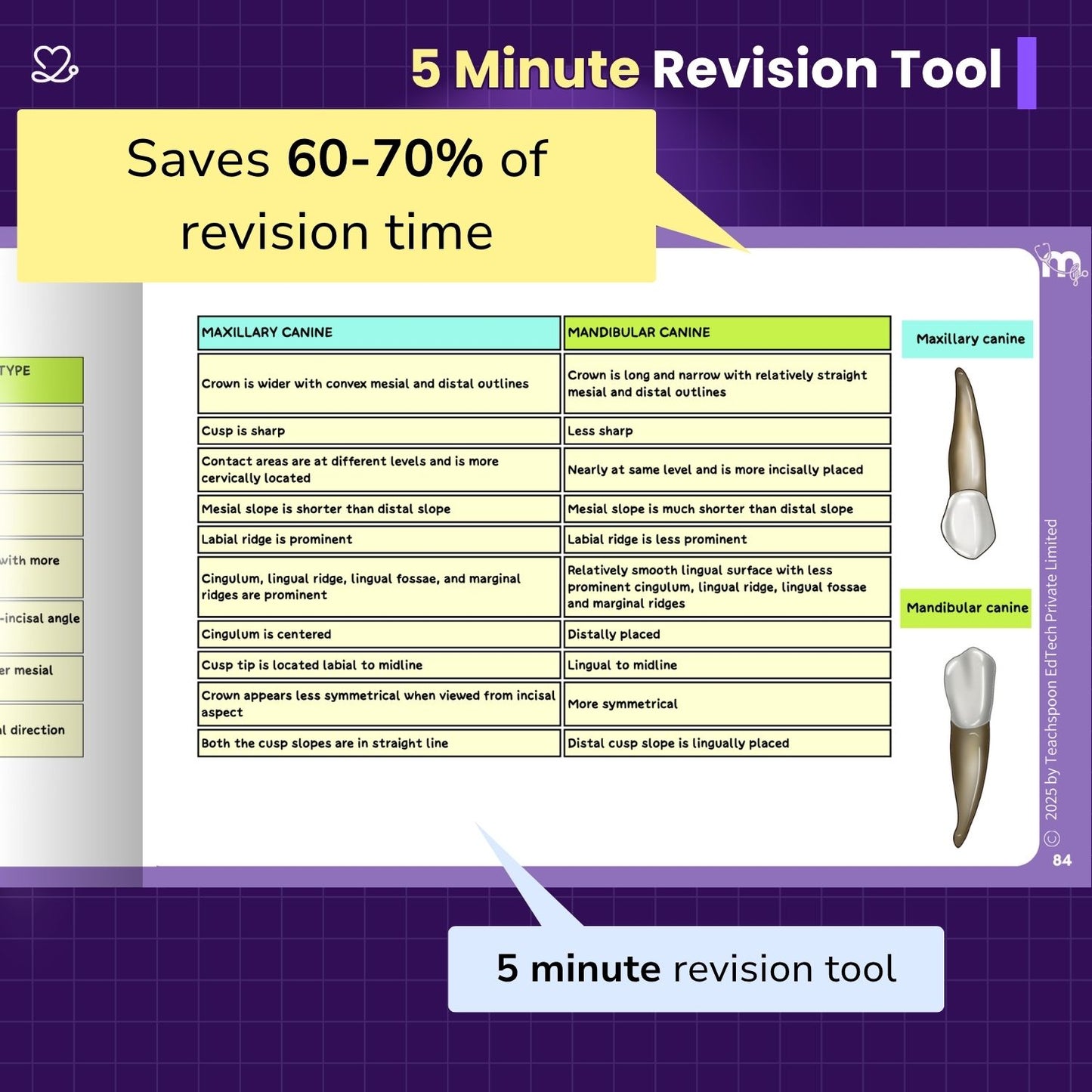 Dental Anatomy and Dental Histology