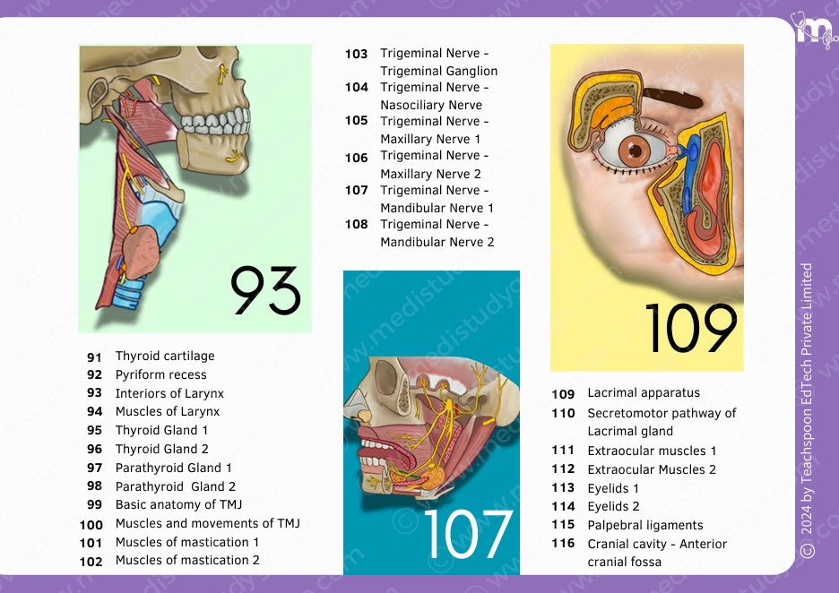 Anatomy bundle + General Anatomy + Osteology