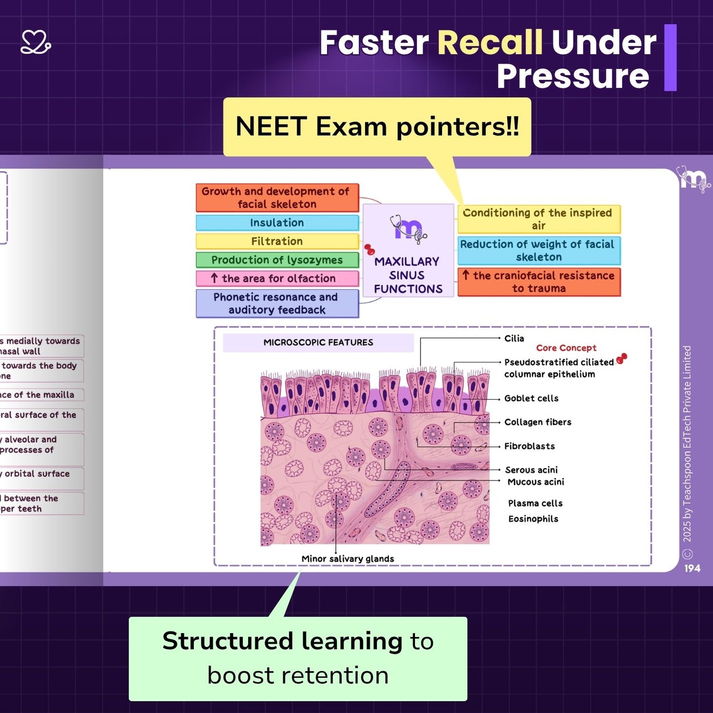 First year BDS exam-focused mind maps with NEET exam pointers