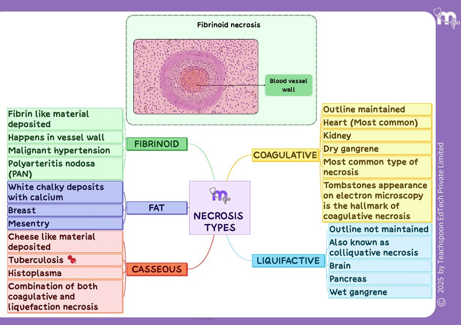 General Pathology - BDS
