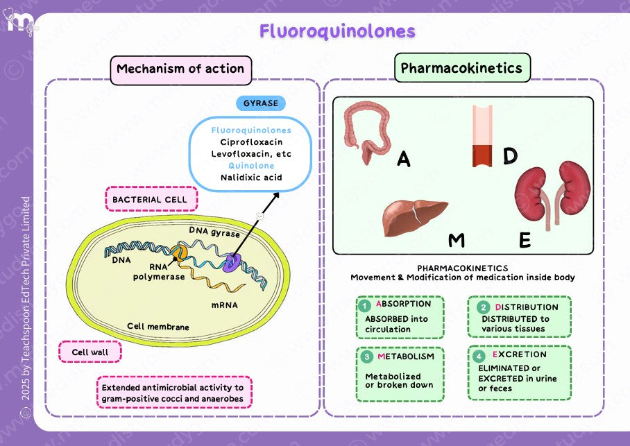 Pharmacology