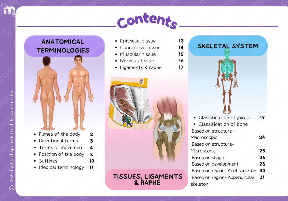 Anatomy bundle + General Anatomy + Osteology