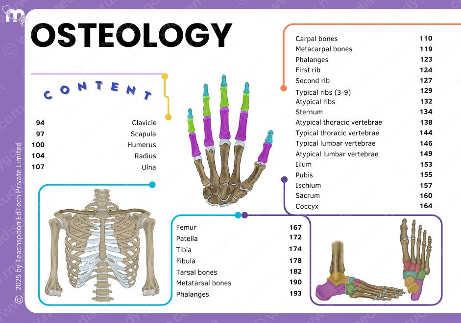 Anatomy bundle + General Anatomy + Osteology