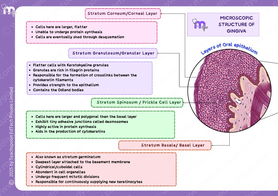 Periodontics