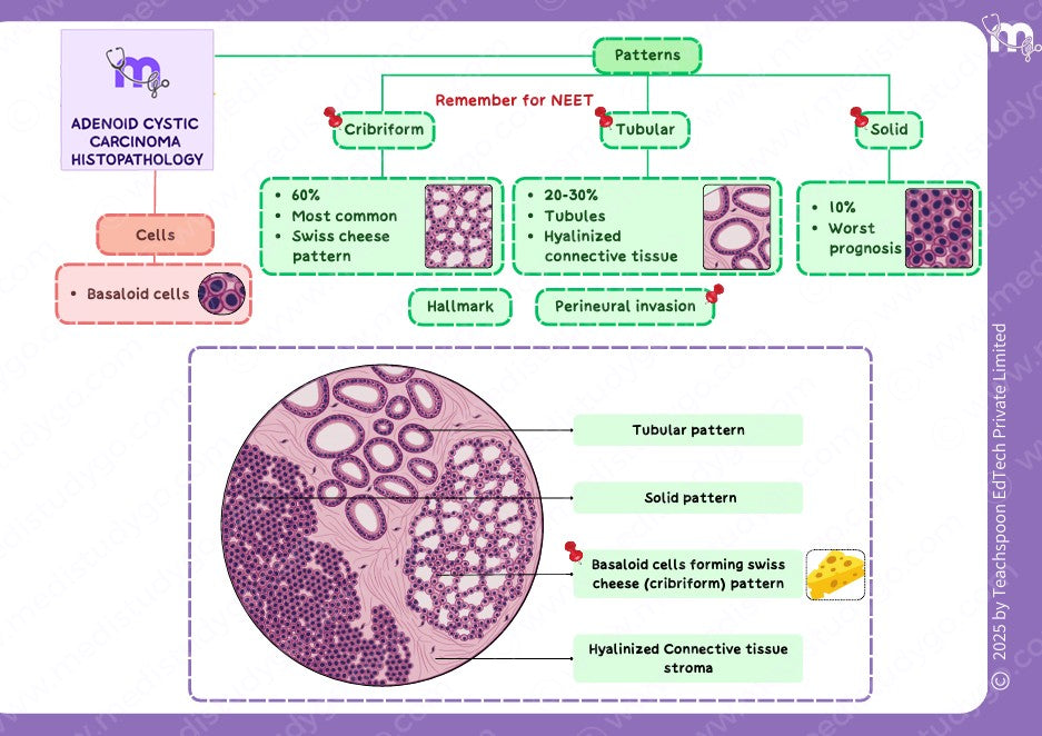 Oral Pathology and microbiology