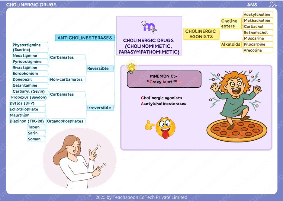 Pharmacology Flashcards