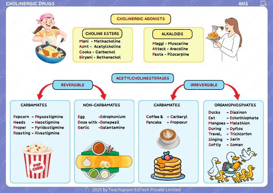 Pharmacology Flashcards