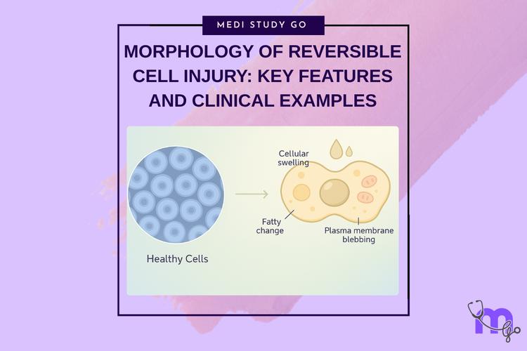 Morphology of Reversible Cell Injury: Key Features and Clinical Exampl ...