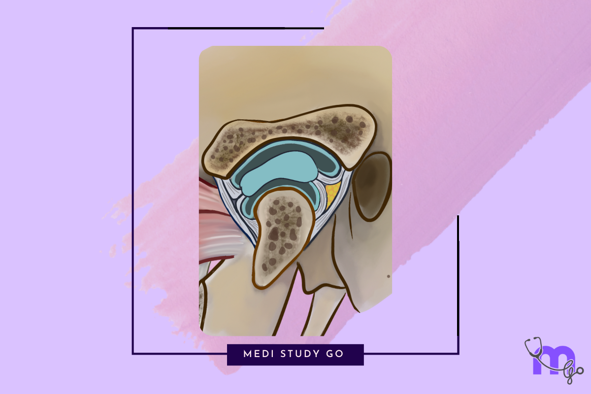 Understanding the Temporomandibular Joint (TMJ): Structure, Function ...