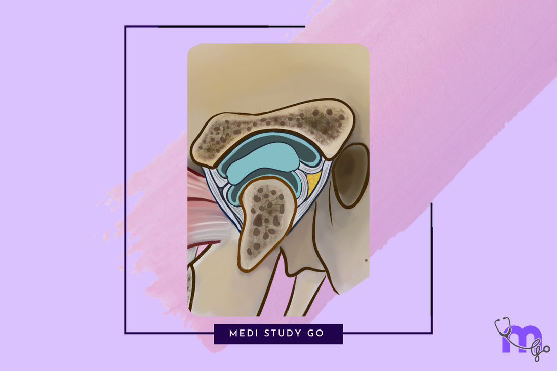 Temporomandibular joint 