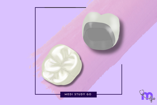 Dental Ceramics