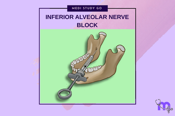 Inferior Alveolar Nerve Block: Step-by-Step Technique and Common Error ...