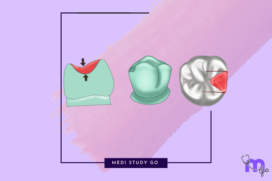 Types of Rest Seats