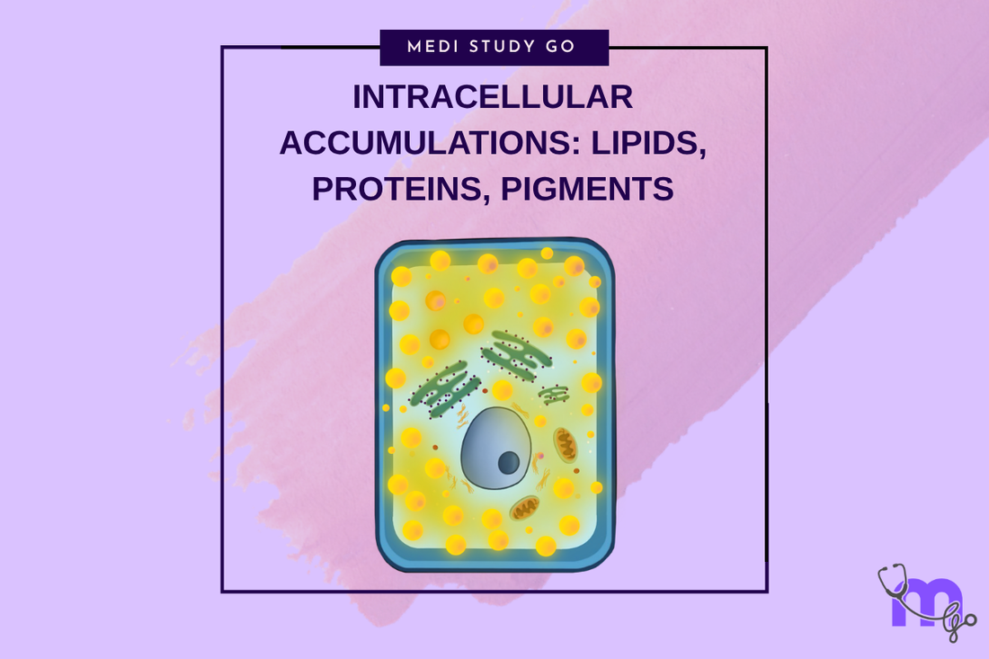 Cell Injury