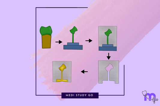 Science of Lost Wax Casting