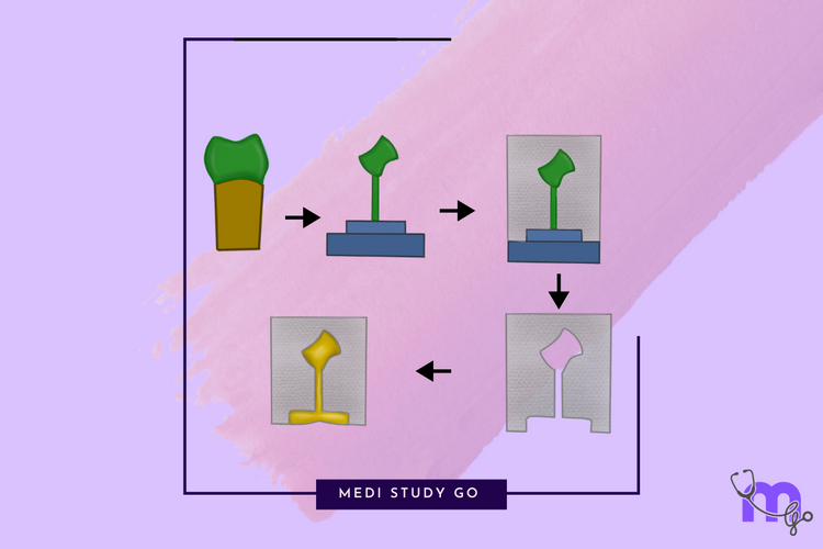 Mastering the Lost Wax Casting Process – Medi Study Go