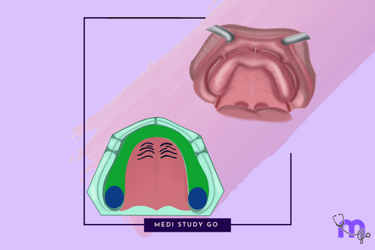 Maxillary Landmarks