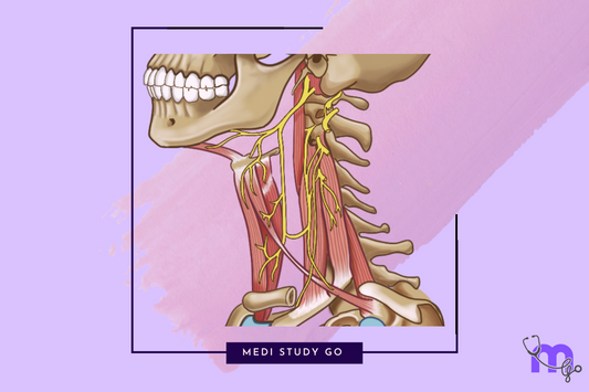 sternocleidomastoid disorders