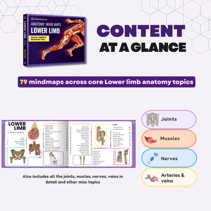 Upper Limb and Lower Limb (MBBS/BPT)