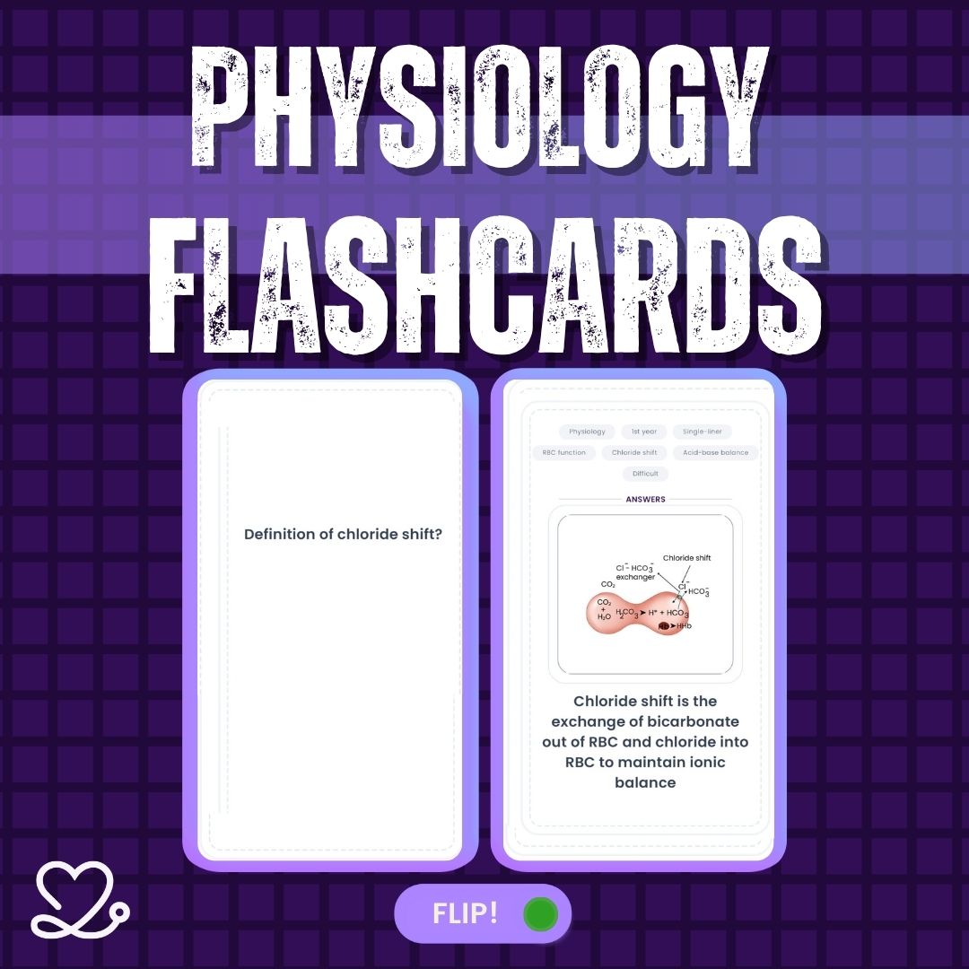 Physiology Flashcards