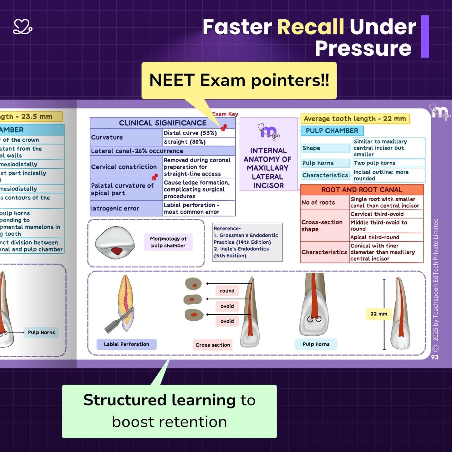 Final Year Subjects Combo