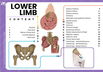 Anatomy bundle + General Anatomy + Osteology