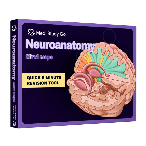 Neuroanatomy (MBBS/BPT)