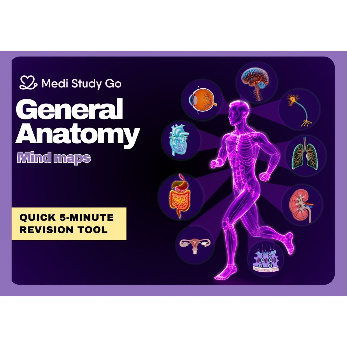 General Anatomy